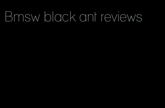 Bmsw black ant reviews