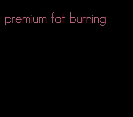 premium fat burning